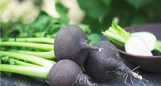 مضرات ترب سیاه و عوارض مصرف ترب سیاه در دوران بارداری چیست مضرات ترب سیاه ؛ عوارض مصرف ترب سیاه در دوران بارداری چیست