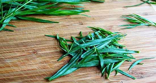 مضرات ترخون برای معده ؛ عوارض مصرف ترخون برای رفلاکس معده مضرات ترخون برای معده ؛ عوارض مصرف ترخون برای رفلاکس معده