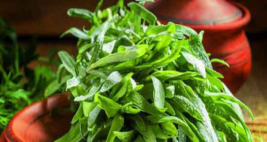 مضرات ترخون در بارداری و عوارض مصرف ترخون برای زیبایی جنین مضرات ترخون در بارداری ؛ عوارض مصرف ترخون برای زیبایی جنین