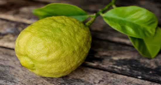 مضرات ترنج و بررسی عوارض و مضرات خوردن ترنج مضرات ترنج ؛ بررسی عوارض و مضرات خوردن ترنج