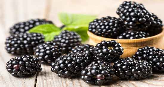 مضرات تمشک و همه چیز درباره عوارض و مضرات مصرف تمشک مضرات تمشک ؛ همه چیز درباره عوارض و مضرات مصرف تمشک