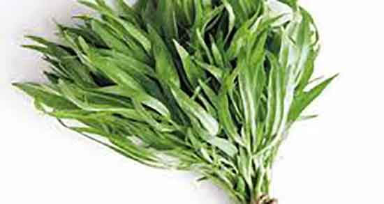 مضرات خوردن ترخون و ایا گیاه ترخون برای زنان باردار مضر است یا نه مضرات خوردن ترخون ؛ ایا گیاه ترخون برای زنان باردار مضر است یا نه