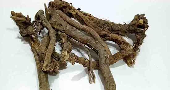 مضرات ریشه کاسنی ؛ فواید و مضرات ریشه کاسنی برای فشار خون مضرات ریشه کاسنی ؛ فواید و مضرات ریشه کاسنی برای فشار خون