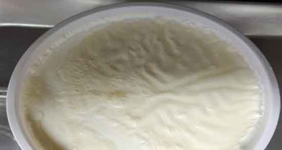 مضرات سرشیر گاومیش و خوردن سرشیر گاومیش برای چه افرادی ضرر دارد مضرات سرشیر گاومیش ؛ خوردن سرشیر گاومیش برای چه افرادی ضرر دارد