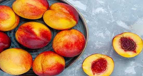 مضرات شلیل در شیردهی و خوردن میوه شلیل چه ضرری برای شیر مادر دارد مضرات شلیل در شیردهی ؛ خوردن میوه شلیل چه ضرری برای شیر مادر دارد