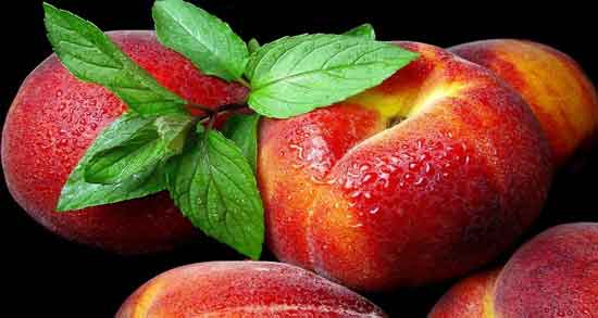 مضرات شلیل چیست و خوردن میوه شلیل چه ضرری برای بدن دارد مضرات شلیل چیست ؛ خوردن میوه شلیل چه ضرری برای بدن دارد