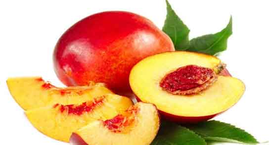 مضرات مصرف شلیل ؛ عوارضی که خوردن شلیل برای سلامتی دارد مضرات مصرف شلیل ؛ عوارضی که خوردن شلیل برای سلامتی دارد