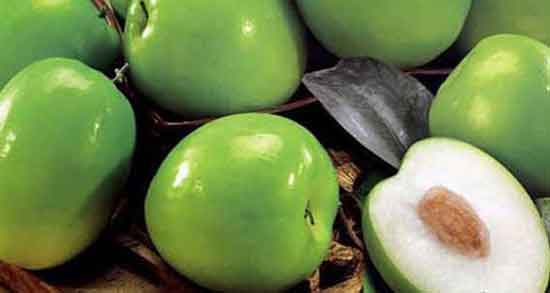 مضرات میوه کنار در بارداری و خطرات خوردن کنار برای دوران بارداری مضرات میوه کنار در بارداری ؛ خطرات خوردن کنار برای دوران بارداری