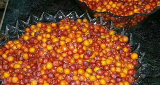 مضرات میوه کنار و استفاده از کنار برای چه افرادی ضرر دارد مضرات میوه کنار ؛ استفاده از کنار برای چه افرادی ضرر دارد