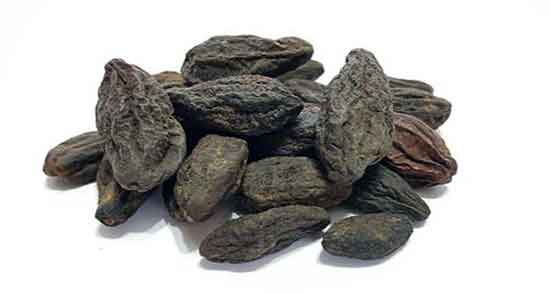 مضرات هلیله سیاه چیست و عوارض مصرف هلیله سیاه برای پوست مضرات هلیله سیاه چیست ؛ عوارض مصرف هلیله سیاه برای پوست