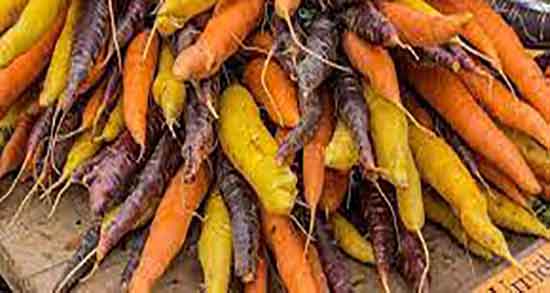 مضرات هویج برای زن باردار و خوردن اب هویج در ماه پنجم بارداری مضرات هویج برای زن باردار ؛ خوردن اب هویج در ماه پنجم بارداری