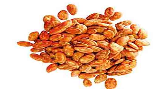 مضرات پوست تخمه ژاپنی ؛ عوارض مصرف پوست تخمه ژاپنی برای گلو مضرات پوست تخمه ژاپنی ؛ عوارض مصرف پوست تخمه ژاپنی برای گلو