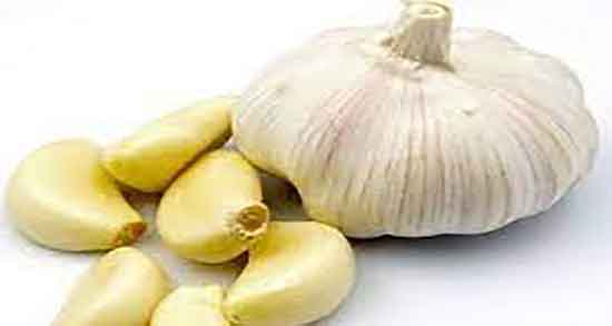 مضرات پوست سیر و عوارض مصرف پوست سیر برای دستگاه گوارش مضرات پوست سیر ؛ عوارض مصرف پوست سیر برای دستگاه گوارش