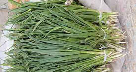 مضرات پیاز کوهی ؛ فواید و مضرات پیاز کوهی ناشتا برای گلو درد مضرات پیاز کوهی ؛ فواید و مضرات پیاز کوهی ناشتا برای گلو درد