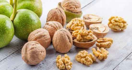 مضرات گردو برای کلیه و بررسی مضرات و عوارض خوردن گردو برای بیماری کلیه مضرات گردو برای کلیه ؛ بررسی مضرات و عوارض خوردن گردو برای بیماری کلیه