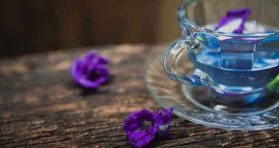 مضرات گل گاوزبان برای معده ؛ مصرف بیش از حد گل گاو زبان چه ضرری به معده می رساند مضرات گل گاوزبان برای معده ؛ مصرف بیش از حد گل گاو زبان چه ضرری به معده می رساند