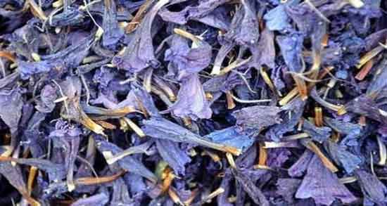 مضرات گل گاوزبان برای کودکان ؛ عوارض خوردن گل گاوزبان برای سلامت کودکان مضرات گل گاوزبان برای کودکان ؛ عوارض خوردن گل گاوزبان برای سلامت کودکان