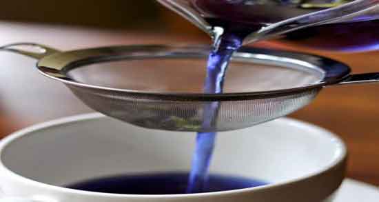 مضرات گل گاوزبان چیست و همه چیز درباره مضرات مصرف گل گاوزبان برای سلامتی مضرات گل گاوزبان چیست ؛ همه چیز درباره مضرات مصرف گل گاوزبان برای سلامتی