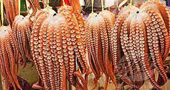 مضرات گوشت اختاپوس و عوارض مصرف گوشت اختاپوس برای معده مضرات گوشت اختاپوس ؛ عوارض مصرف گوشت اختاپوس برای معده