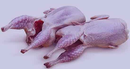 مضرات گوشت بلدرچین و عوارض مصرف گوشت بلدرچین برای نوزاد مضرات گوشت بلدرچین ؛ عوارض مصرف گوشت بلدرچین برای نوزاد