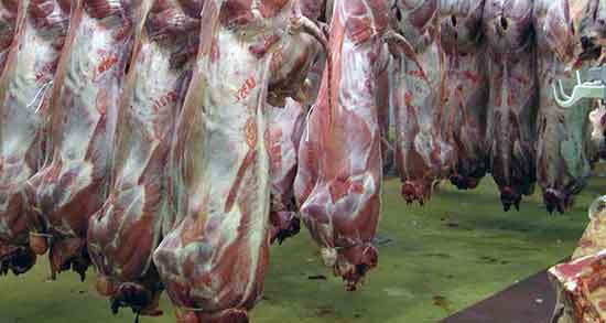 مضرات گوشت گوسفندی و عوارض مصرف گوشت گوسفندی چیست مضرات گوشت گوسفندی ؛ عوارض مصرف گوشت گوسفندی چیست