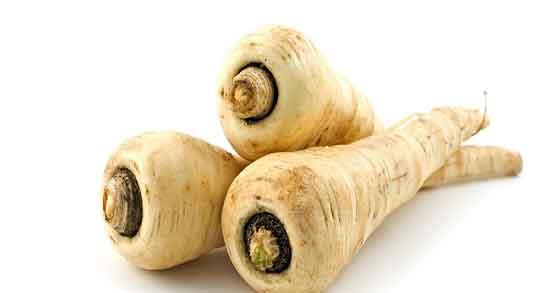 مضرات گیاه شقاقل ؛ عوارض مصرف گیاه شقاقل برای زنان باردار مضرات گیاه شقاقل ؛ عوارض مصرف گیاه شقاقل برای زنان باردار