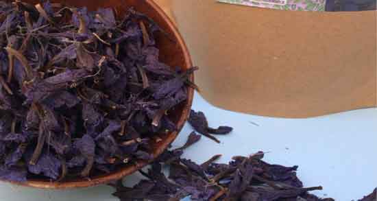 موارد منع مصرف گل گاوزبان و در چه مواردی مصرف گل گاوزبان برای بدن ضرر دارد موارد منع مصرف گل گاوزبان ؛ در چه مواردی مصرف گل گاوزبان برای بدن ضرر دارد