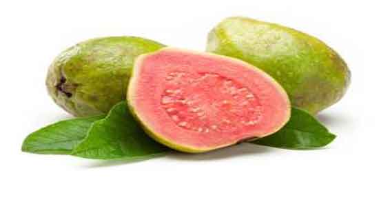 میوه گواوا و خواص آن و همه چیز درباره میوه گواوا و خواصی که دارد میوه گواوا و خواص آن ؛ همه چیز درباره میوه گواوا و خواصی که دارد