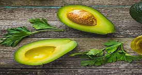 هسته آووکادو را چگونه بکاریم ؛ دستور کاشت هسته اووکادو در خاک هسته آووکادو را چگونه بکاریم ؛ دستور کاشت هسته اووکادو در خاک