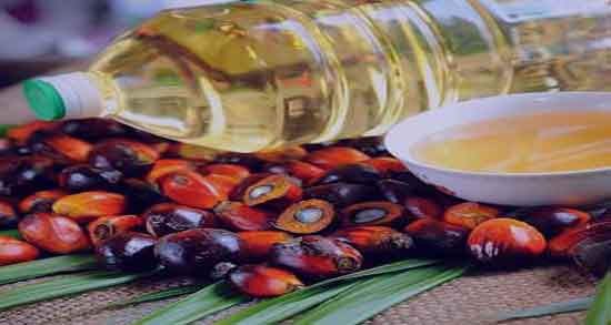 هسته خرما تبریزیان و خواص هسته خرما تبریزیان در طب اسلامی هسته خرما تبریزیان ؛ خواص هسته خرما تبریزیان در طب اسلامی