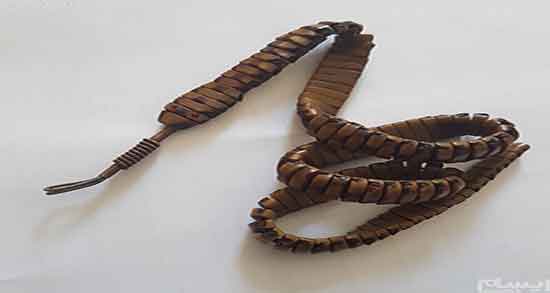 هسته خرما در بارداری و ایا دمنوش هسته خرما در بارداری مفید است هسته خرما در بارداری ؛ ایا دمنوش هسته خرما در بارداری مفید است