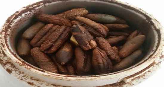 هسته خرما و سنگ کلیه و درمان سنگ کلیه با مصرف هسته خرما هسته خرما و سنگ کلیه ؛ درمان سنگ کلیه با مصرف هسته خرما