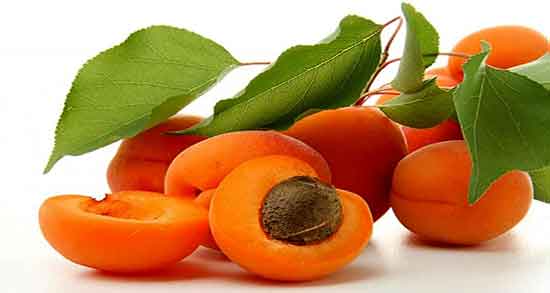 هسته زردآلو بخوریم یا نه ؛ مضرات خوردن هسته زردآلو توسط کودک هسته زردآلو بخوریم یا نه ؛ مضرات خوردن هسته زردآلو توسط کودک