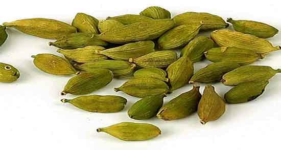 هل برای چایی ؛ طرز تهیه چای هل و دارچین برای نوشیدنی میان وعده هل برای چایی ؛ طرز تهیه چای هل و دارچین برای نوشیدنی میان وعده