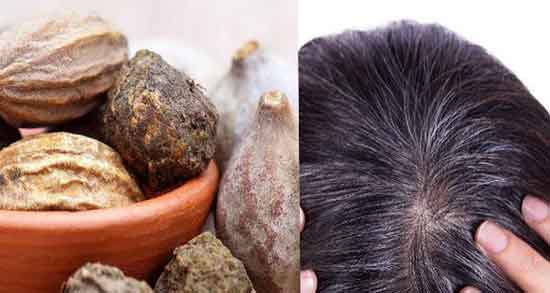 هلیله سیاه برای رشد مو و روش مصرف هلیله سیاه برای سفیدی مو هلیله سیاه برای رشد مو ؛ روش مصرف هلیله سیاه برای سفیدی مو