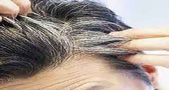 هلیله سیاه برای سفیدی مو و روش مصرف هلیله سیاه برای سفیدی مو هلیله سیاه برای سفیدی مو ؛ روش مصرف هلیله سیاه برای سفیدی مو