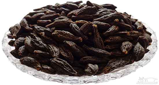 هلیله سیاه در احادیث و مصرف هلیله سیاه در طب اسلامی تبریزیان هلیله سیاه در احادیث ؛ مصرف هلیله سیاه در طب اسلامی تبریزیان