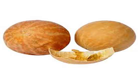 هندوانه ابوجهل برای لاغری و خواص هندوانه ابوجهل برای چربی سوزی بدن هندوانه ابوجهل برای لاغری ؛ خواص هندوانه ابوجهل برای چربی سوزی بدن