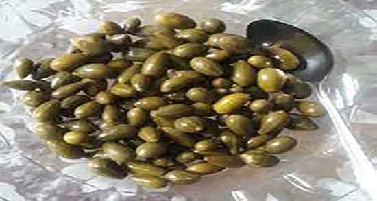 هندوانه ابوجهل و درمان دیابت و کنترل قند خون زنان باردار با هندوانه ابوجهل هندوانه ابوجهل و درمان دیابت ؛ کنترل قند خون زنان باردار با هندوانه ابوجهل