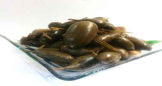 هندوانه ابوجهل کف پا و گذاشتن هندوانه ابوجهل برای درمان ترک کف پا هندوانه ابوجهل کف پا ؛ گذاشتن هندوانه ابوجهل برای درمان ترک کف پا