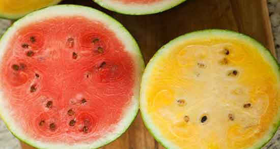 هندوانه زرد برای دیابت و خاصیت مصرف هندوانه زرد برای کنترل قند خون هندوانه زرد برای دیابت ؛ خاصیت مصرف هندوانه زرد برای کنترل قند خون