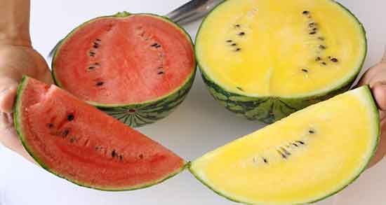 هندوانه زرد برای نوزاد ؛ خاصیت هندوانه زرد رنگ برای نوزادان چیست هندوانه زرد برای نوزاد ؛ خاصیت هندوانه زرد رنگ برای نوزادان چیست