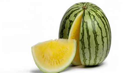 هندوانه زرد گرم است یا سرد و طبیعت هندوانه زرد برای بدن سرد است هندوانه زرد گرم است یا سرد ؛ طبیعت هندوانه زرد برای بدن سرد است