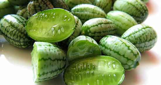 هندوانه کوهی برای چیست و خواص هندوانه کوهی برای بدن انسان هندوانه کوهی برای چیست ؛ خواص هندوانه کوهی برای بدن انسان