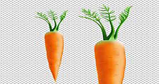 هویج برای یبوست خوب است و خاصیت دارویی هویج برای درمان یبوست هویج برای یبوست خوب است ؛ خاصیت دارویی هویج برای درمان یبوست