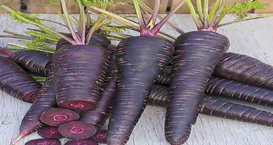 هویج در بدنسازی و خاصیت مصرف هویج و فیبر بالای ان برای ورزشکاران هویج در بدنسازی ؛ خاصیت مصرف هویج و فیبر بالای ان برای ورزشکاران