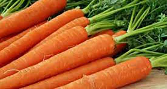 هویج فرنگی برای پسردار شدن و تاثیر هویج فرنگی برای بچه دار شدن هویج فرنگی برای پسردار شدن ؛ تاثیر هویج فرنگی برای بچه دار شدن