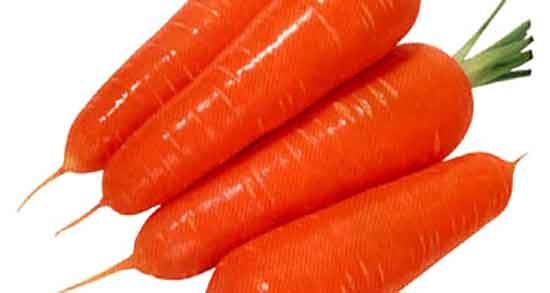 هویج فرنگی چه ویتامینی دارد و خوردن هویج فرنگی پخته چه ویتامینی دارد هویج فرنگی چه ویتامینی دارد ؛ خوردن هویج فرنگی پخته چه ویتامینی دارد