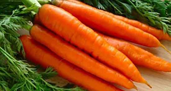 هویج فرنگی چیست و ایا هویج فرنگی همان هویج نارنجی است یا نه هویج فرنگی چیست ؛ ایا هویج فرنگی همان هویج نارنجی است یا نه