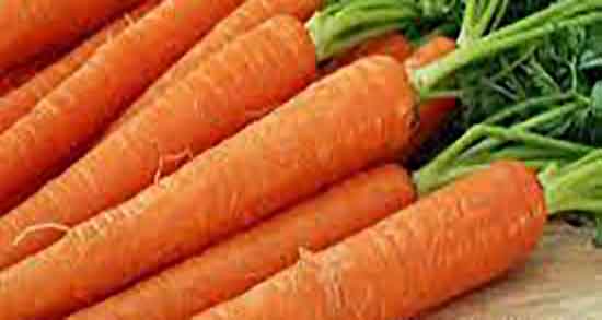 هویج و اگزما و ایا خوردن هویج به درمان اگزمای پوستی کمک میکند هویج و اگزما ؛ ایا خوردن هویج به درمان اگزمای پوستی کمک میکند